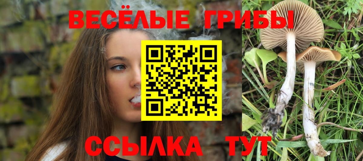 Галлюциногенные грибы Psilocybine cubensis  Галлюциногенные грибы GOLDEN TEACHER  хочу   Вход с VPN  Жигулёвск 